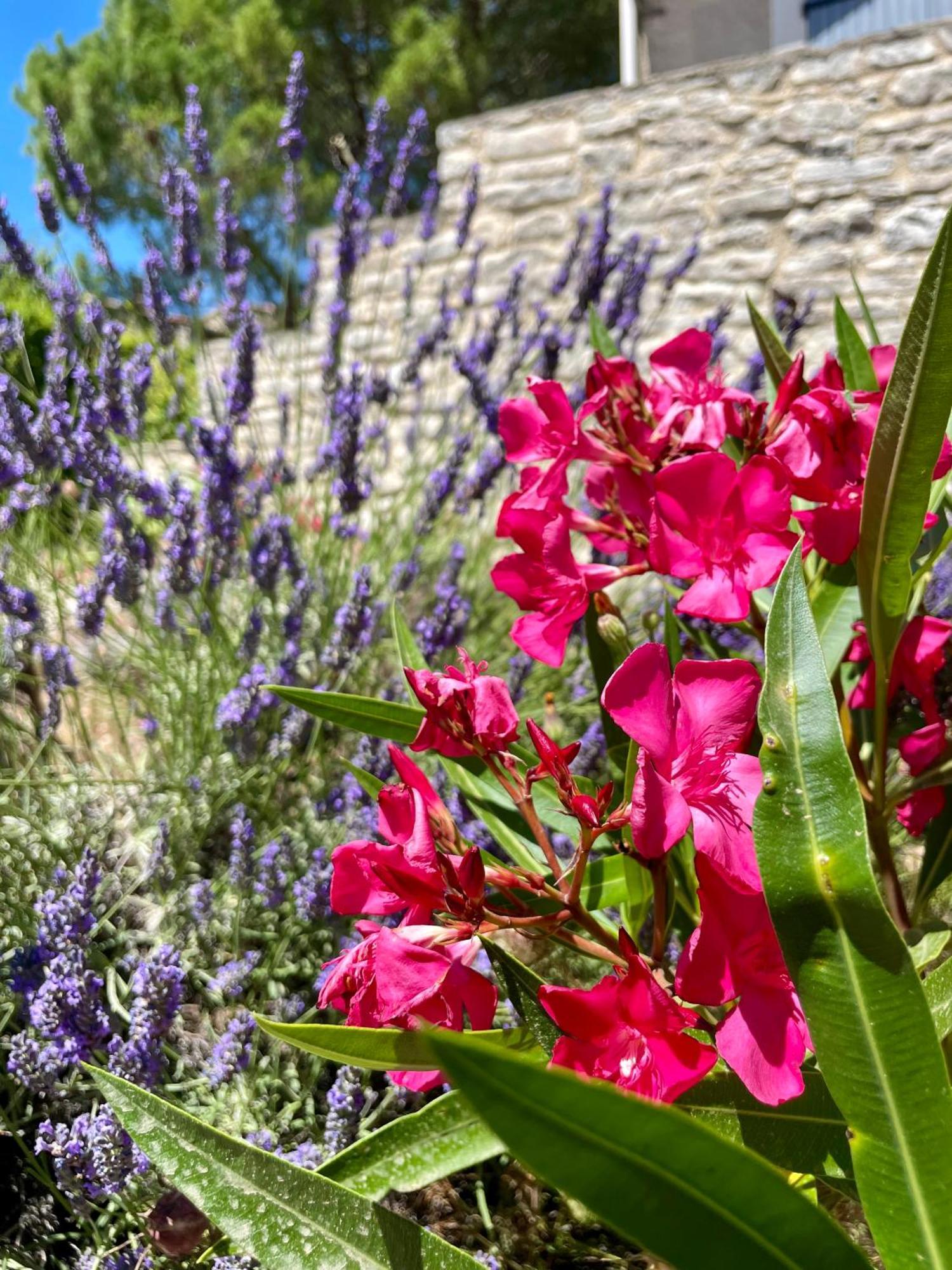 Gîte l’Inattendu Vachères Esterno foto